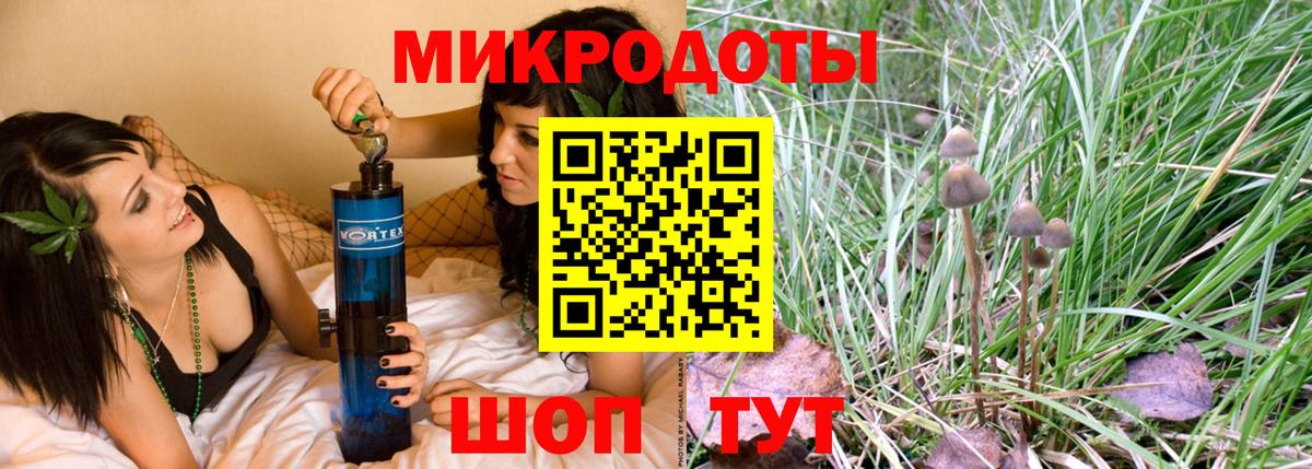 Галлюциногенные грибы Psilocybe Лесосибирск