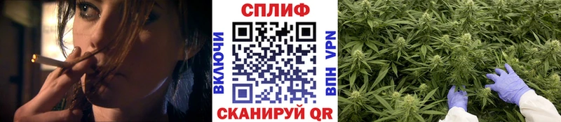 купить закладку Лесосибирск Шишки марихуана VHQ